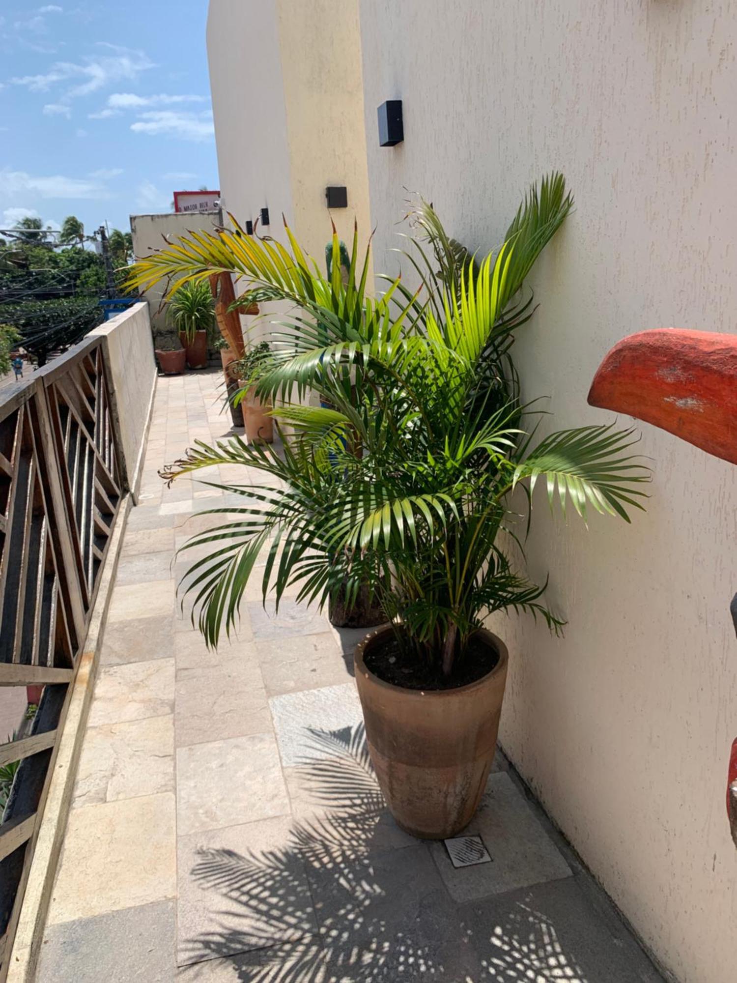 Villa Peixe Na Telha Porto de Galinhas Exterior foto